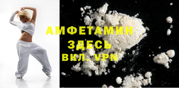 индика Арсеньев