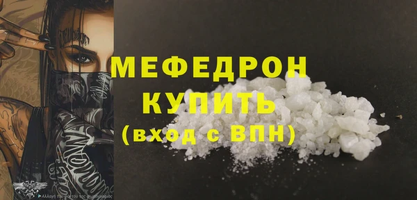 индика Арсеньев