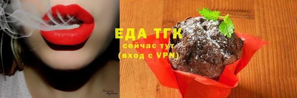 индика Арсеньев