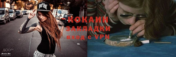 индика Арсеньев