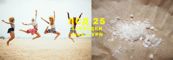гашик Аркадак