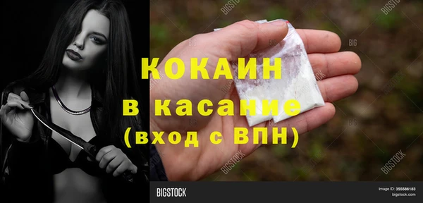 гашик Аркадак
