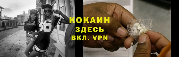 индика Арсеньев