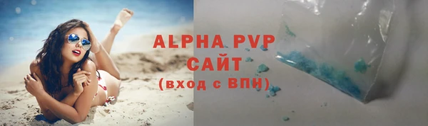индика Арсеньев