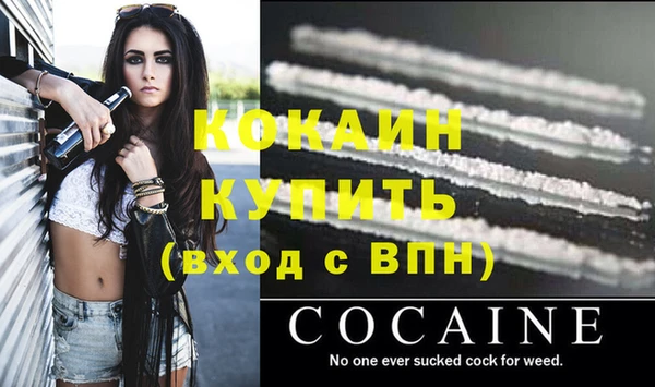 гашик Аркадак