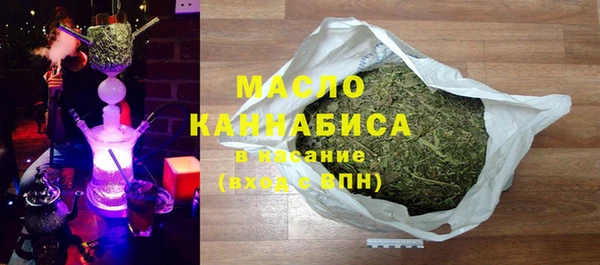 индика Арсеньев