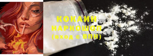 гашик Аркадак